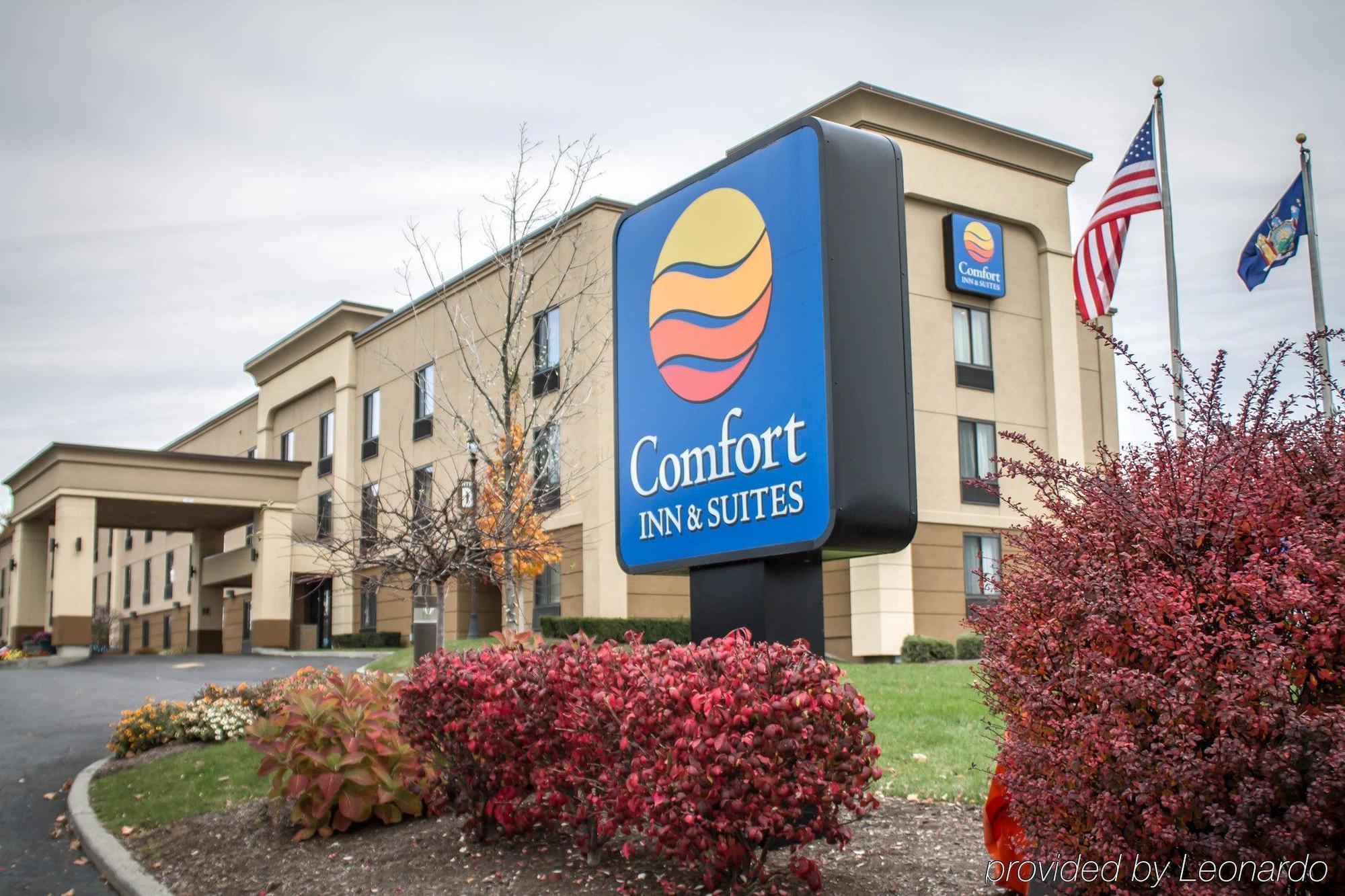 Holiday Inn Express & Suites - Albany Airport - Wolf Road By Ihg Exterior foto